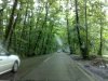 04062008081.jpg