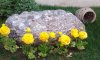 2012-04-02 09.18.52.jpg
