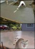 funny-cat-footprints-cement.jpg