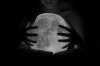 tumblr_m2f98fqyx01rsm53yo1_500_large.jpg