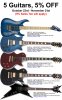 5 Guitars - 5% OFF Sale.jpg