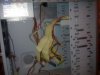 201203yiy.jpg 201203yiy.jpg
