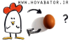 chicken-or-egg0.png