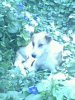 IMG0105A.jpg
