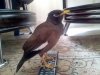 20120425_115440_edited.jpg