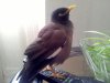 20120425_115712_edited.jpg