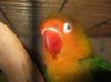 8nwehkambj66zss9d4_thumb.jpg