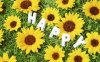 Holidays_Birthday_Birthday_congratulations_018579_gg.jpg