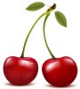 Realistic-red-cherry-design-vector.jpg
