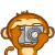 47.gif