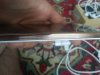 20160930_125618.jpg