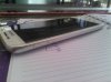 IMG_20170501_121904.jpg
