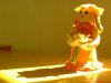 DSC00234.JPG