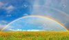 4280907-Landscape-with-blossoming-field-and-rainbow-Stock-Photo-sky.jpg