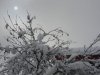 Foto-XVZG7TWR.jpg