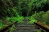 the-old-Helensburgh-railway-tunnel-Hugh-Deck.jpg