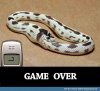 Funny-Nokia-Snake-Game-Over.jpg
