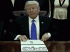 giphy (1).gif