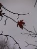 unveiled-life-visitors-poem-21327655.jpg