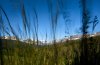 31COVER_SPAN-blog480.jpg