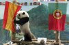 La-panda-Lin-Ping-predice-que-_54317396276_54115221152_960_640.jpg
