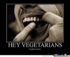 vegetarians-explain-these_o_531652.jpg