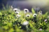 fb760cfe26f755be75edde530a1ea902.png