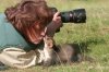 1nature-photographer-behind-scenes-animals-27.jpg