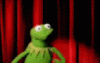 tumblr_lf7r3bWrxM1qbgpiho1_250.gif