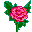 16_14_21.gif