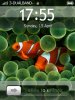 Screen006.JPG
