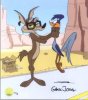 coyote roadrunner.jpg
