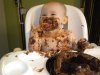 messy-baby-eating-cake.jpg