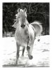 pencil_drawings_unbelievable_13.jpg