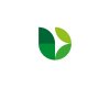 logo.jpg