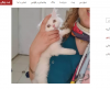 Opera Snapshot_2020-06-08_173437_divar.ir.png