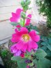 IMG-20201016-WA0034.jpg