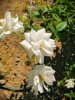 IMG-20201016-WA0036.jpg