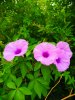 IMG-20201016-WA0037.jpg