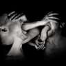 Mosy Rele