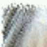 ahmad.davazdah