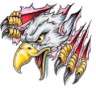 hamed_fenix