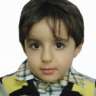 rastin2005