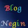 blognegin