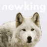 newking