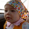 hamed1984