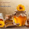 hadiabdollahi