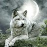 whit wolf man