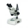 vahid6154
