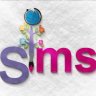 SIMS group